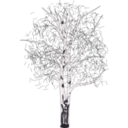 download Leafless Birch clipart image with 270 hue color