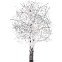 download Leafless Birch clipart image with 315 hue color