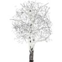 download Leafless Birch clipart image with 0 hue color