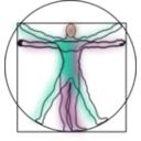 download Vitruvian Man clipart image with 90 hue color