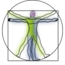download Vitruvian Man clipart image with 0 hue color