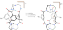 Sn Ii Hetero Bimetallic Cryptand