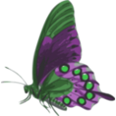 download Butterfly Papilio Philenor Side clipart image with 90 hue color