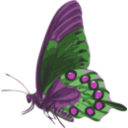 download Butterfly Papilio Philenor Side clipart image with 270 hue color