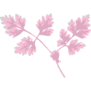download Chervil clipart image with 0 hue color
