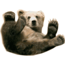download Grizzly Bear 1 clipart image with 0 hue color
