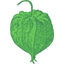 download Tomatillo clipart image with 45 hue color