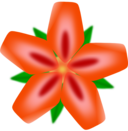 Red Flower