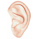 download Human Ear clipart image with 0 hue color