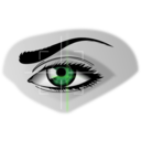 download Eye Scan clipart image with 45 hue color