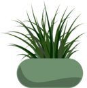 Potted Grass