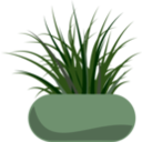 download Potted Grass clipart image with 0 hue color