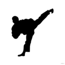 download Silueta Tae Kwon Do clipart image with 180 hue color