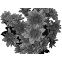 download Flowers In Greyscale clipart image with 0 hue color