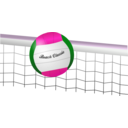 download Volleyball clipart image with 270 hue color