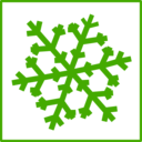 Eco Green Snow Icon