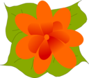 Flower3