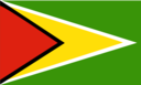 Flag Of Guyana