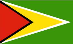 Flag Of Guyana