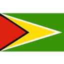 download Flag Of Guyana clipart image with 0 hue color