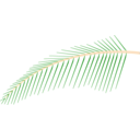 download Leaf Of Coconut Tree clipart image with 0 hue color