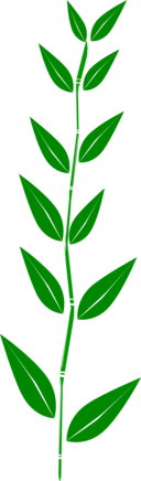 Bamboo Leaf