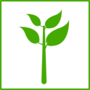 Eco Green Plant Icon
