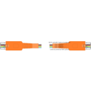 download Rj 25 Cord clipart image with 0 hue color