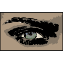 download Auge clipart image with 0 hue color