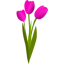 download Three Red Tulips clipart image with 315 hue color
