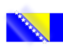 Flag Bih Almir