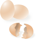 Eggs