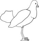 Bird Outline