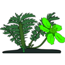 download Gg Potentilla Anserina clipart image with 45 hue color