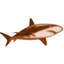 download Shark Shaded clipart image with 180 hue color