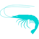 download Shrimp clipart image with 180 hue color