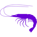 download Shrimp clipart image with 270 hue color