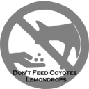 Dont Feed Coyotes Lemondrops