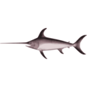 download Swordfish clipart image with 135 hue color