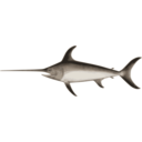 download Swordfish clipart image with 180 hue color