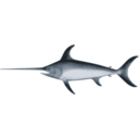 download Swordfish clipart image with 0 hue color