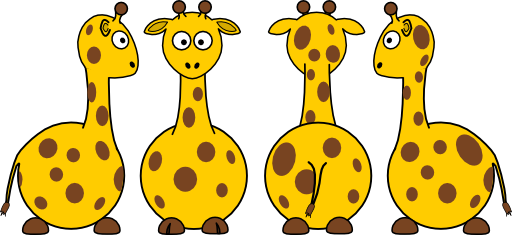 Cartoon Giraffe Front Back And Side Views