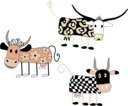 Cartoon Cows