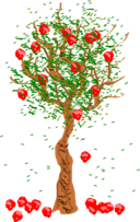 Apple Tree