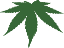 Cannabis Leaf