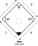 58294main The Brain In Space Page 102 Navigating Without Cues Diamond Experiment