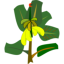download Bananas On The Tree clipart image with 0 hue color