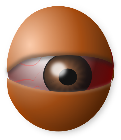 Am Eyeball Egg
