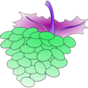 download Grapes clipart image with 225 hue color