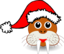 Funny Walrus Face With Santa Claus Hat